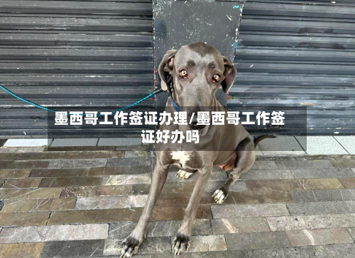 墨西哥工作签证办理/墨西哥工作签证好办吗