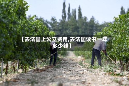 【去法国上公立费用,去法国读书一年多少钱】-第2张图片