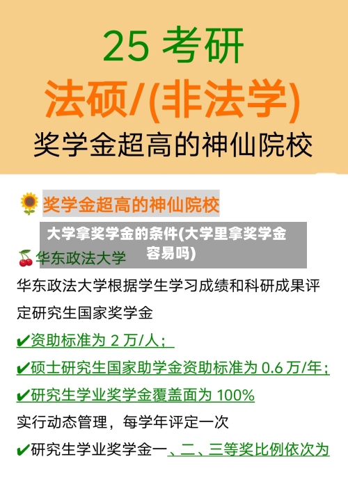 大学拿奖学金的条件(大学里拿奖学金容易吗)-第3张图片