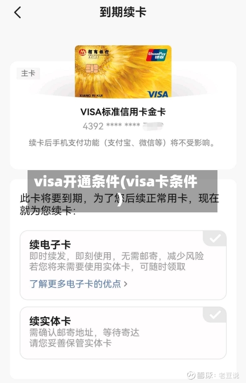 visa开通条件(visa卡条件)-第2张图片