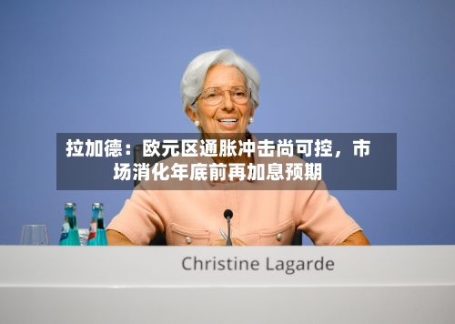 拉加德：欧元区通胀冲击尚可控，市场消化年底前再加息预期-第3张图片