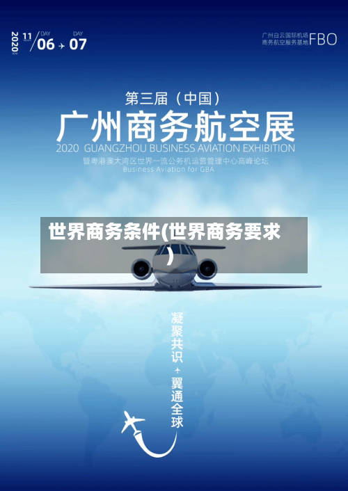世界商务条件(世界商务要求)