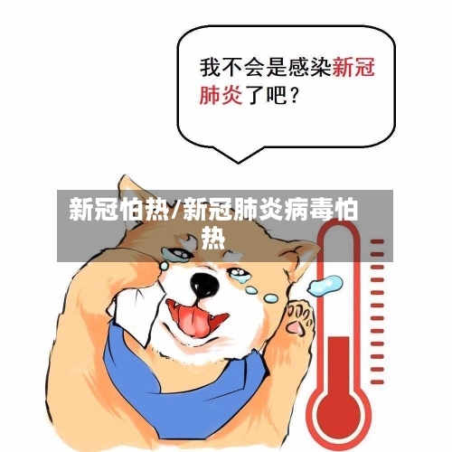 新冠怕热/新冠肺炎病毒怕热-第3张图片