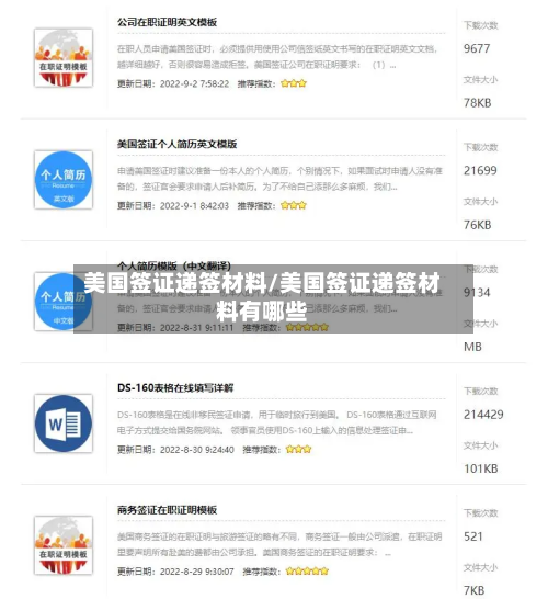 美国签证递签材料/美国签证递签材料有哪些-第2张图片