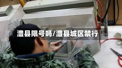 澧县限号吗/澧县城区禁行-第2张图片